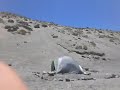 La Vida De Ancor. Playa "montaña Arena"