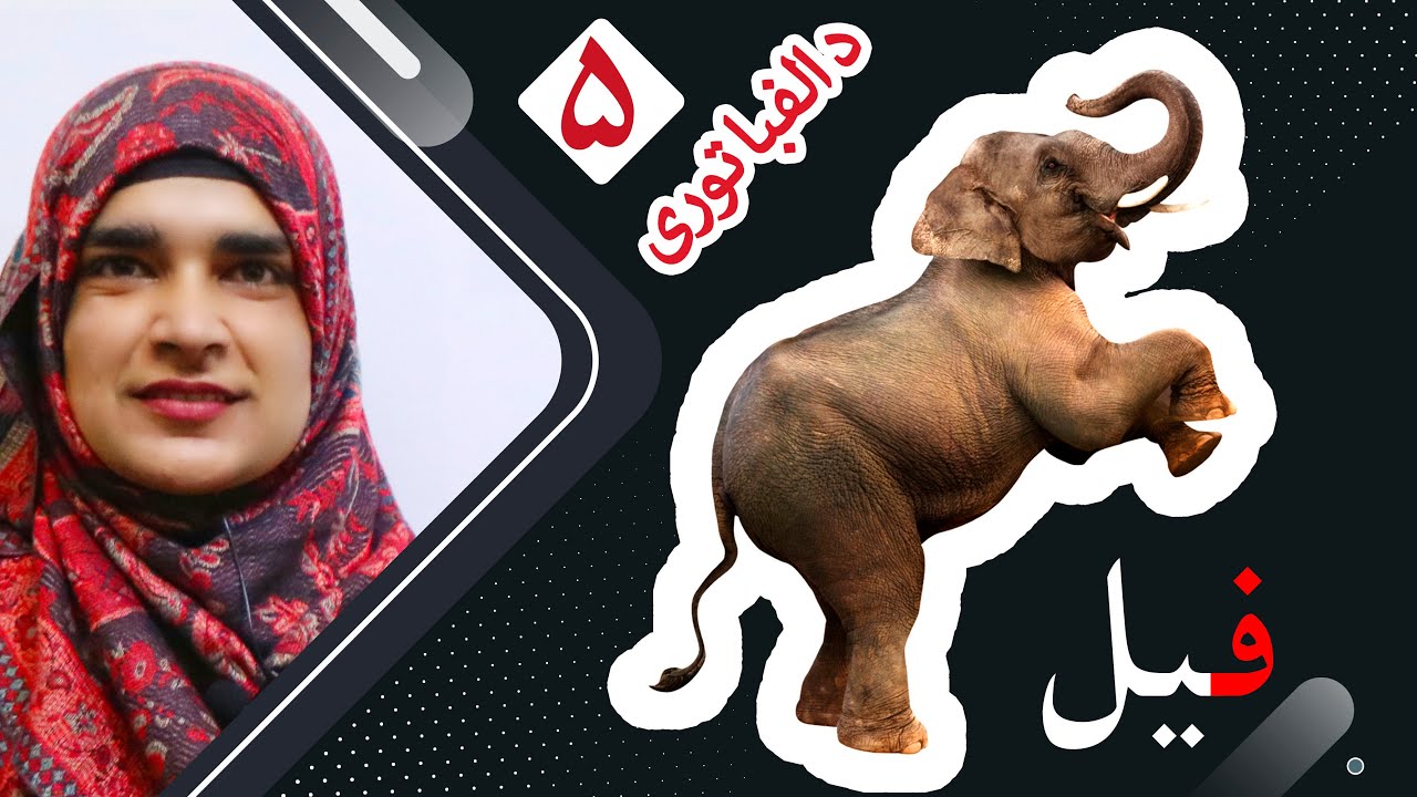 Class 2 _ Lesson 5 ( ALPHABET ) _ Pashto book / لوست ۵ (د الفبا توری) _ د پښتو کتاب _ دویم ټولګی