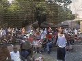 Holly Ridge Blues Jam 2009