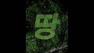 행사 관련 유튜브 영상