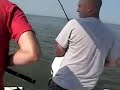 Speckled Trout & Sharks Speckled Trout & Sharks