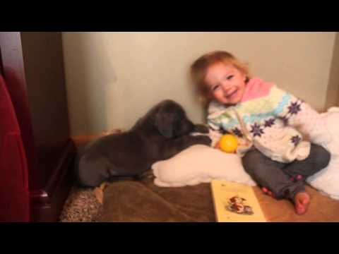 Baylor reading a book to Big Boy