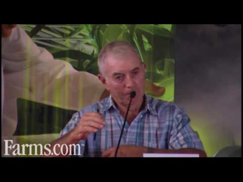 how to fertilize corn