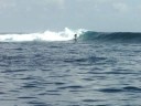videos Surf
