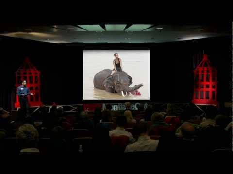 The Elephant Riders - The Elephant, The Rider and You: Creating Behavior Change Strategies That Work. Stef Frenzl explores the dichotomy of the rational and emotional sides of the...