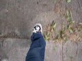 walking friends