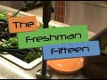 Freshman 15