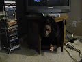 Contortion%20Fun