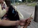 Yushu vempaj?� d�ka
