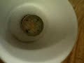 LED BULB ADAPTER WITH 3 WATT LED
