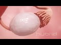 Ovulation