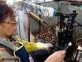 In Thailand, we took a tour of a chashew factory - this is the only way to get the nut out of the shell - by hand!!