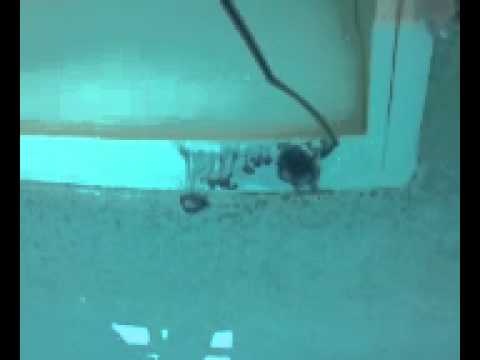 how to use dye to find a pool leak