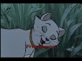 My new intro