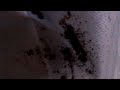 Click here to watch this video VID-20120522-00003