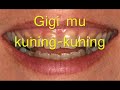 Piton Gunsaga-Langgar pantat kerbau