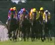 Rock of Gibraltar- 2002 St James' Palace Stakes