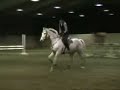 Lady hopp Lady hopp