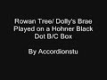 Rowan-Tree-Dolly-s-B