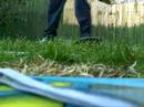 Grass Shove it + Pop Shove it Grass Shove it + Pop Shove it
