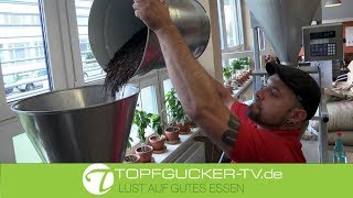Türkischer Kaffee, Filterkaffee oder französischer Pressstempel - worauf kommt es an?