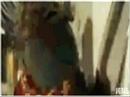 Um lindo video...