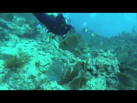 Scuba Diving John Pennekamp Coral Reef State Park, Key Largo, FL - DEC-13