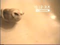 Cute baby pug goes nuts when hears vacuum