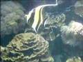 aquarium des lagons