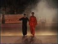 wushu fighting wushu fighting