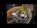 MARCO POLO ACTION-TOUR 2009 - City Walk & Dinner-Cruise