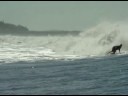 PUERTO SANDINO NICARAGUA SURF HOTELYELAND