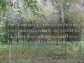 komm-in-den-totgesagten-park.html
