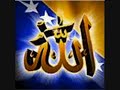 BOSNA BOSNA