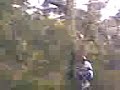 css surfing on flying fox