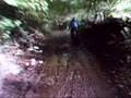 TRF  totnes and back