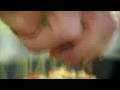 Gordon Ramsay - Herb crusted fillets of that Gordon Ramsay - Herb crusted fillets of that