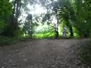 Jump forêt, explosage de kouniettes xD Jump forêt, explosage de kouniettes xD