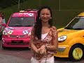 LivinCars.com reviews Renault Kangoo with Van-Tastics