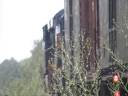 CSX freight train #q263 Departs north gale st in westfield