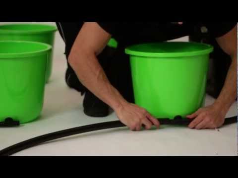 how to grow ebb and flow