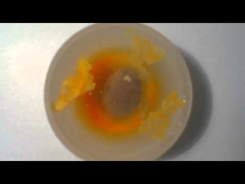 how to dissolve an m&m