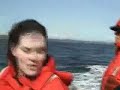 Whale Watching Tour Whale Watching Tour