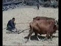 YILDIRIMLA T�RK� KERVANI 06