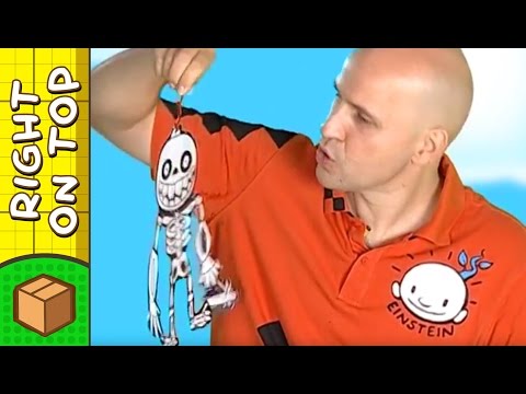 Crafts Ideas for Kids - Skeleton Piece Drawing