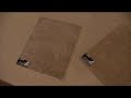 Carpets and wood floor color
