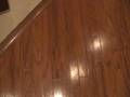 20081122125244.mpg