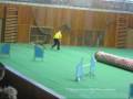 videos de 4.1.09 - Louny - agility