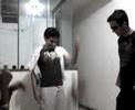 Zeca-Pimenteira