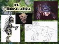 sss  7of14    bigfoot and cryptozoology
